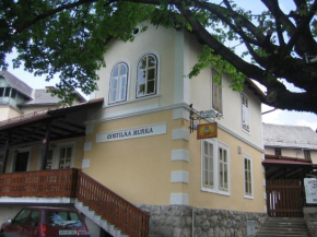 Apartment old Murka